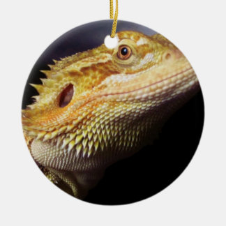 Bärtiger Drache-Kopf 2 Keramikornament