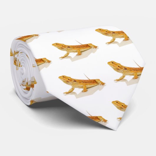 Bärtiger Drache Krawatte (Gerollt)