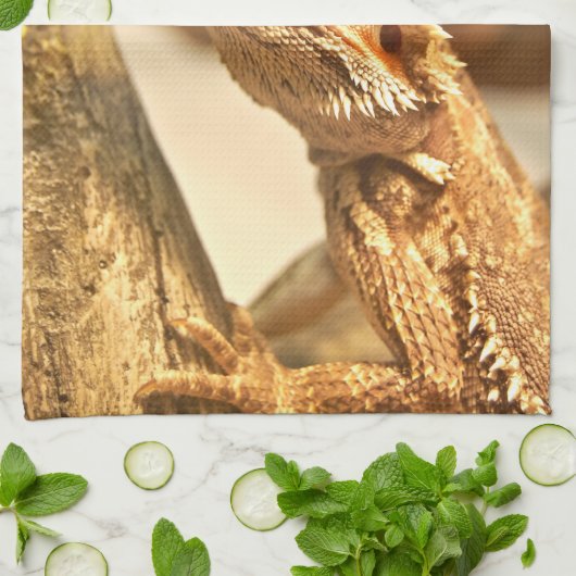 Bärtiger Drache Küchentuch (Gefaltet)