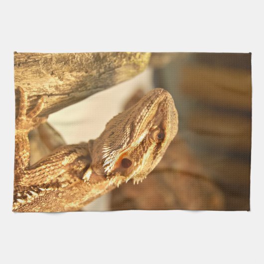 Bärtiger Drache Küchentuch (Horizontal)