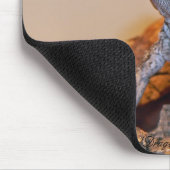 Bärtiger Drache Mousepad (Ecke)