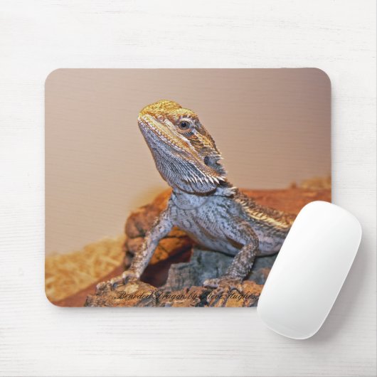 Bärtiger Drache Mousepad (Mit Mouse)