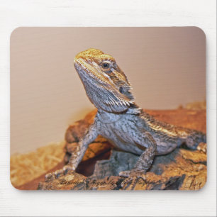 Bärtiger Drache Mousepad