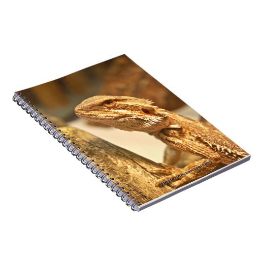 Bärtiger Drache Notizblock (Rechte Seite)