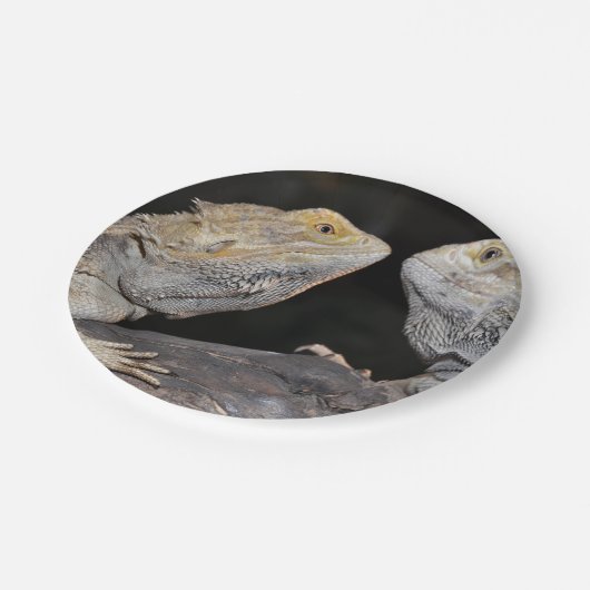 Bärtiger Drache Pappteller (Schrägansicht)