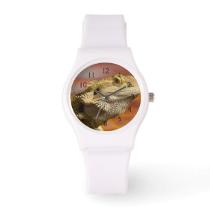 Bärtiger Drache (Pogona Vitticeps) auf Armbanduhr
