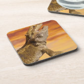 Bärtiger Drache (Pogona Vitticeps) auf Felsen, Untersetzer (Linke Seite)