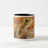 Bärtiger Drache (Pogona Vitticeps) auf Felsen, Zweifarbige Tasse (Mittel)