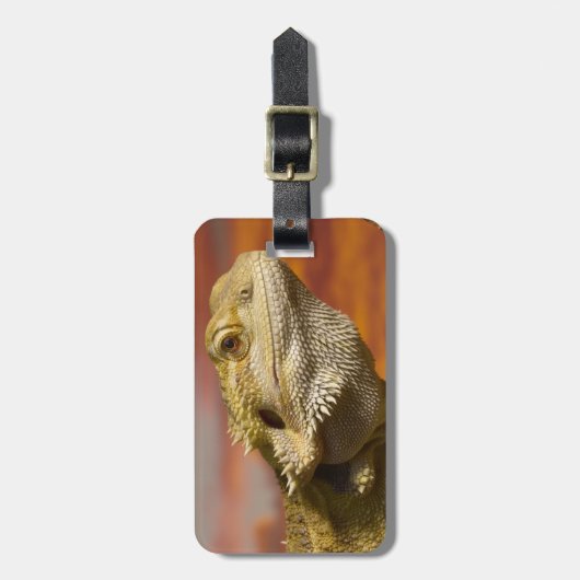 Bärtiger Drache (Pogona Vitticeps) auf Gepäckanhänger (Vorderseite vertikal)