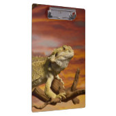 Bärtiger Drache (Pogona Vitticeps) auf Klemmbrett (Rechts)