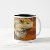 Bärtiger Drache (Pogona Vitticeps) auf Zweifarbige Tasse (VorderseiteRechts)