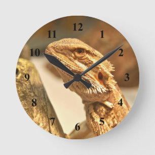 Bärtiger Drache Runde Wanduhr