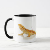 Bärtiger Drache Tasse (Links)