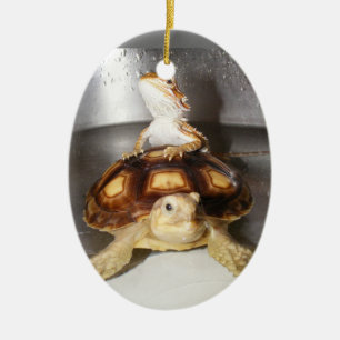 Bärtiger Drache und Sulcata Schildkröte Keramik Ornament