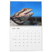 Bärtiger Drache-Wandkalender Kalender (Mär 2027)