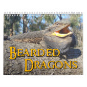 Bärtiger Drache-Wandkalender Kalender (Titelbild)