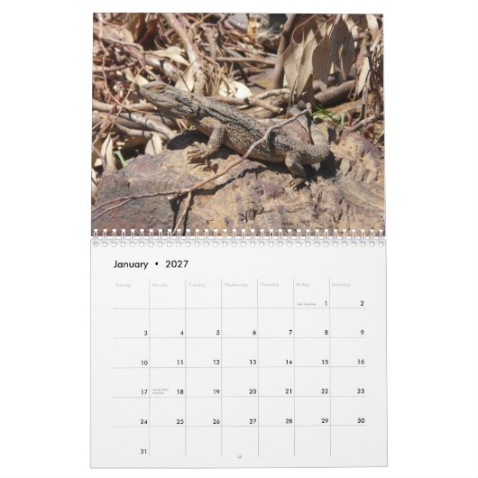 Bärtiger Drache-Wandkalender Kalender (Jan 2027)