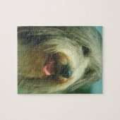 Bärtiges Collie-Hundepuzzlespiel Puzzle (Horizontal)