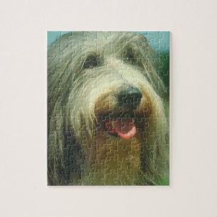 Bärtiges Collie-Hundepuzzlespiel Puzzle