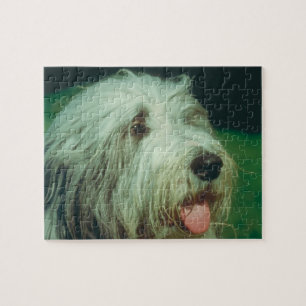 Bärtiges Collie-Hundepuzzlespiel Puzzle