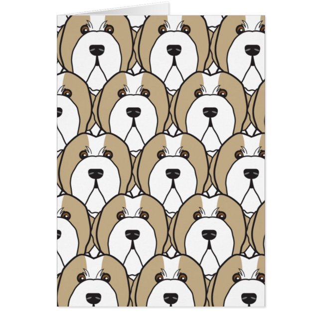 Bärtiges Collies (Vorne)