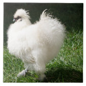 Bärtiges seidiges Huhn Fliese (Vorderseite)