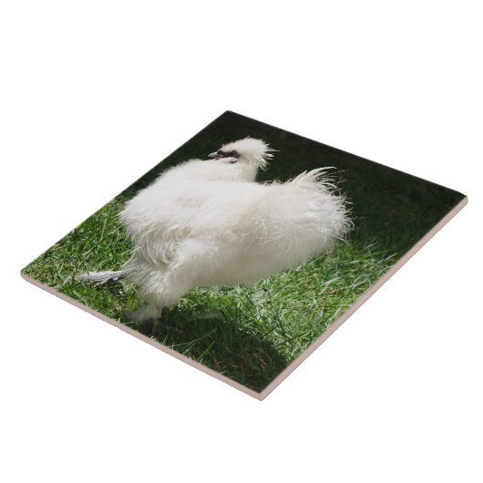 Bärtiges seidiges Huhn Fliese (Seite)