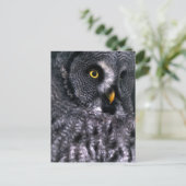 Bartkauz Postkarte (Stehend Vorderseite)