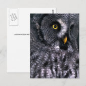 Bartkauz Postkarte (Vorne/Hinten)