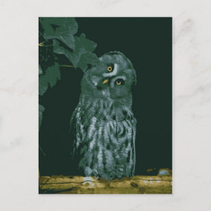 Bartkauz Postkarte