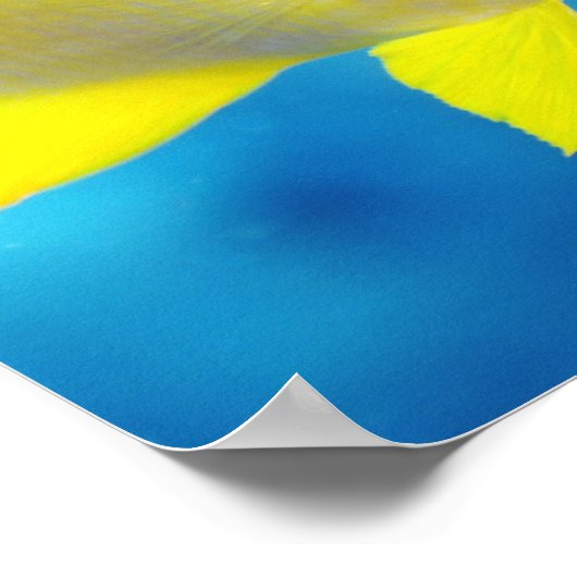 Bartlett-Anthias Poster (Ecke)