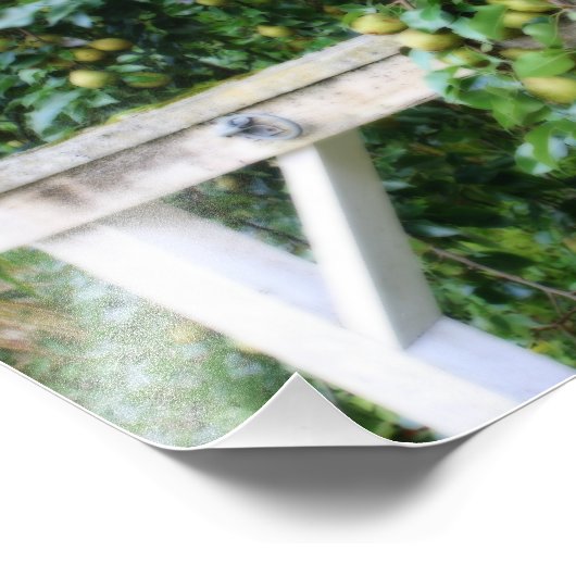 Bartlett Birnen auf Baum Orton Art 8x10 Fotodruck (Ecke)