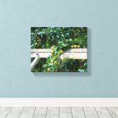 Bartlett Birnen auf Bäumen Hitching Post Leinwanddruck (Insitu (Holzboden))