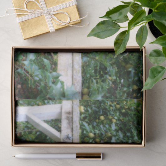 Bartlett Birnen auf Baumkroneneffekt Decoupage Seidenpapier (Geschenk)