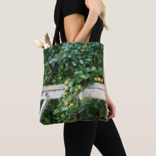 Bartlett Birnen auf Baumland Tasche