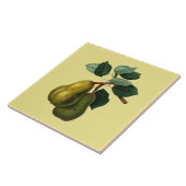 Bartlett Birnen botanisch ~ Farbe Hintergrund ~ Fliese (Seite)