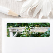 Bartlett Birnen zum Baumkronen-Effekt (Insitu)