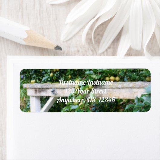 Bartlett Birnen zum Baumkronen-Effekt (Insitu)