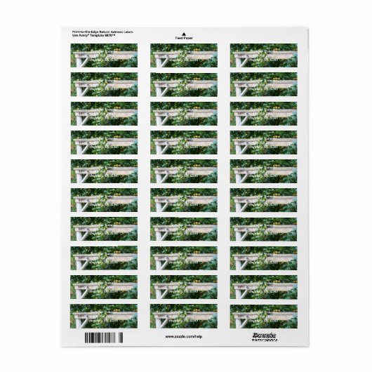 Bartlett Birnen zum Baumkronen-Effekt (Vorne)