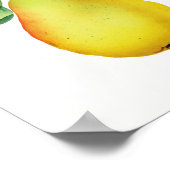 Bartlett Juicy Pear Frucht Küche Poster (Ecke)