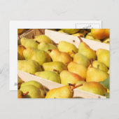 Bartlett Pears Postcard Postkarte (Vorne/Hinten)