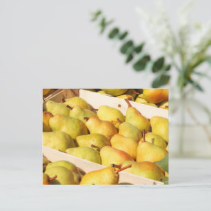 Bartlett Pears Postcard Postkarte