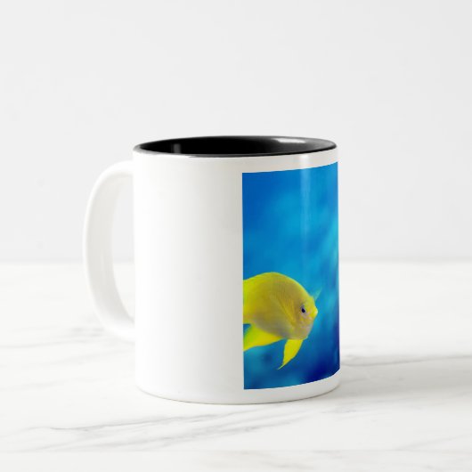 Bartlettbirne anthias zweifarbige tasse (Vorderseite Links)