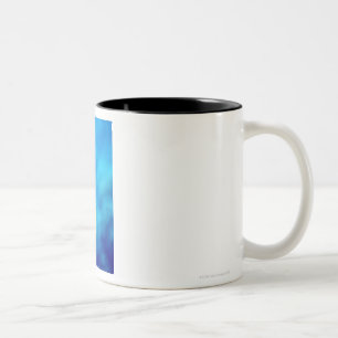 Bartlettbirne anthias zweifarbige tasse