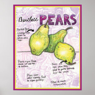 Bartlettbirnen-Birnen-Plakat Poster