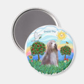 Bartollie (braun-weiß) magnet (Vorderseite/Rückseite)