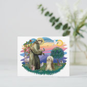 Bartollie (Brauncreme) Postkarte (Stehend Vorderseite)