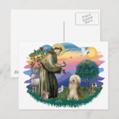 Bartollie (Brauncreme) Postkarte (Vorne/Hinten)