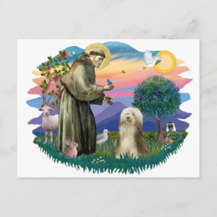 Bartollie (Brauncreme) Postkarte