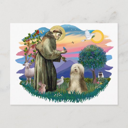 Bartollie (Brauncreme) Postkarte (Vorderseite)